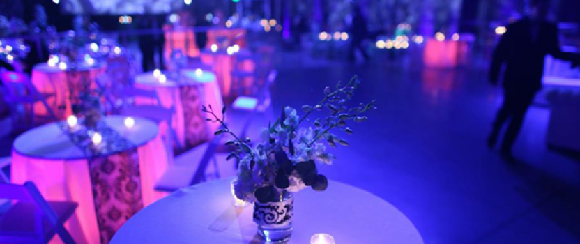 Wishing Well Hire Sydney