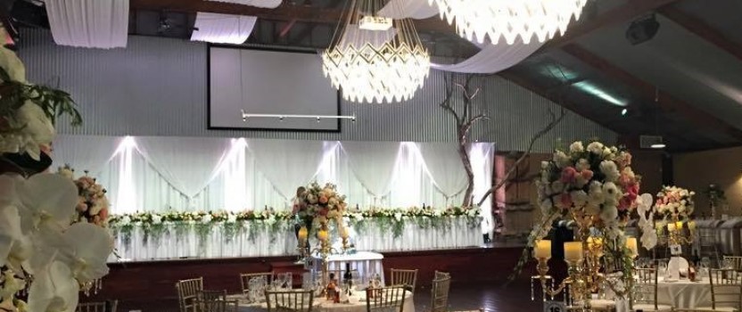 Manzanita Trees Hire Sydney